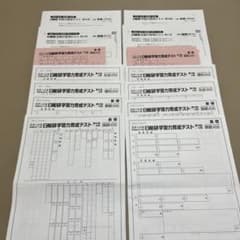 未使用❗️2025年 日能研 4年 ステージⅡ育成テスト⑨⑩ - メルカリ