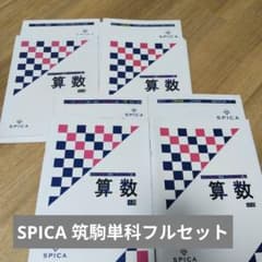 SPICA 算数 筑駒単科 フルセット 10-1月分 - メルカリ