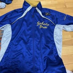 m99211231125_1.jpg?1735565429