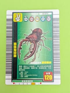 希少 珍品 台湾版 ノコギリクワガタ ムシキング - メルカリ