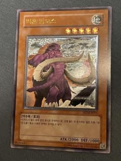 韓国 遊戯王 ビッグホーンマンモス FET レリーフ - メルカリ
