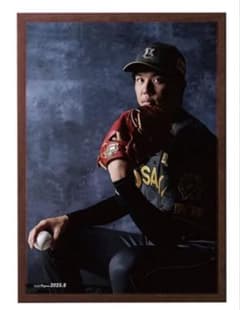月刊タイガース表紙写真パネル 2025年8月号 阪神 才木浩人投手 才木