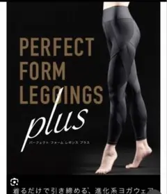 2026年最新】リントスル パーフェクトフォームの人気アイテム - メルカリ