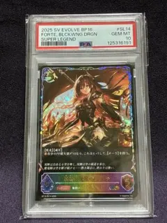 2026年最新】シャドウバースエボルヴ psa10の人気アイテム - メルカリ