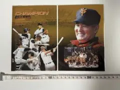 2026年最新】giants champion 2000の人気アイテム - メルカリ