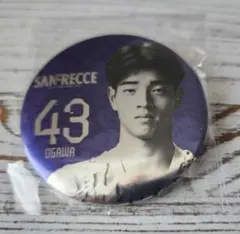 2026年最新】バッジ サンフレッチェの人気アイテム - メルカリ