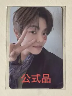 ALD1 ユニットトレカ サンリオ リオ サンウォン - メルカリ