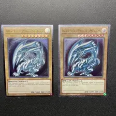 2026年最新】青眼の白龍 英語 レリーフの人気アイテム - メルカリ