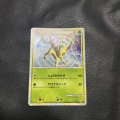 リーフィア ポケモンカードゲーム エキスパートデッキ リーフィアVS