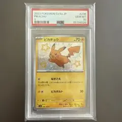 2026年最新】ピカチュウ 色違い psa10の人気アイテム - メルカリ