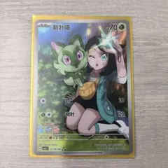 2026年最新】ニャオハ リコ 中国の人気アイテム - メルカリ