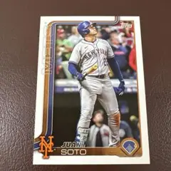 2026年最新】ファンソトの人気アイテム - メルカリ