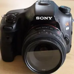 2026年最新】α65 レンズの人気アイテム - メルカリ