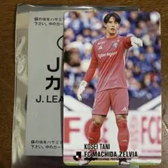 2026年最新】谷晃生の人気アイテム - メルカリ