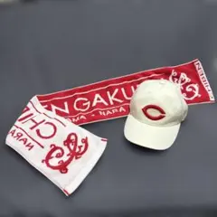 2026年最新】智辯学園 タオルの人気アイテム - メルカリ