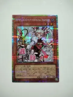 2026年最新】マリスポーンホワイトラビットの人気アイテム - メルカリ