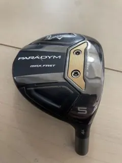 2026年最新】パラダイム キャロウェイの人気アイテム - メルカリ