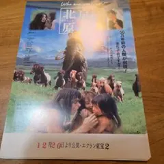 2026年最新】ジョイ・ウォンの人気アイテム - メルカリ