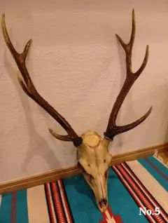 2026年最新】鹿 角 トロフィーの人気アイテム - メルカリ