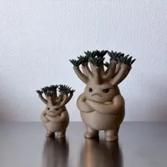 2026年最新】塊根植物 フィギュアの人気アイテム - メルカリ