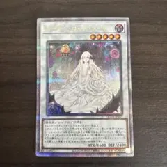 2026年最新】ガーデン・ローズ・メイデン 25thの人気アイテム - メルカリ