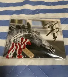 2026年最新】安藤勝己 サインの人気アイテム - メルカリ