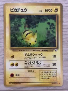 m18647378146_1.jpg?1772548288