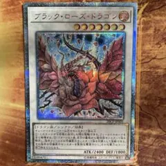 2026年最新】ブラックローズ シークレットの人気アイテム - メルカリ