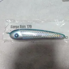 2026年最新】ローカルスタンダード サージベイト170の人気アイテム