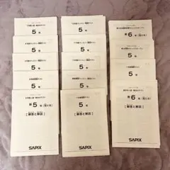 2026年最新】sapix 組分けテスト 新5年の人気アイテム - メルカリ