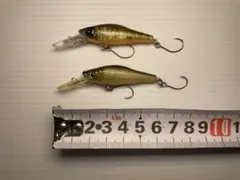 2026年最新】ライブxスモルトの人気アイテム - メルカリ