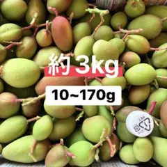 2026年最新】摘果マンゴーの人気アイテム - メルカリ