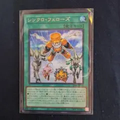 2026年最新】シンクロ・フェローズ シークレットの人気アイテム - メルカリ