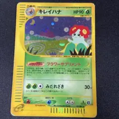 2026年最新】キレイハナeの人気アイテム - メルカリ