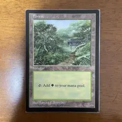 2026年最新】apacランドの人気アイテム - メルカリ