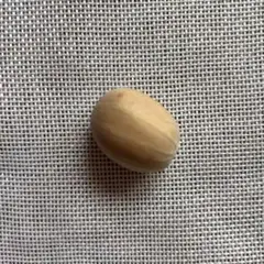 2026年最新】ホリダス エンセファラルトスの人気アイテム - メルカリ