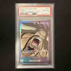 2026年最新】カイドウ パラレル リーダーの人気アイテム - メルカリ