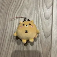 2026年最新】ウラクバムの人気アイテム - メルカリ