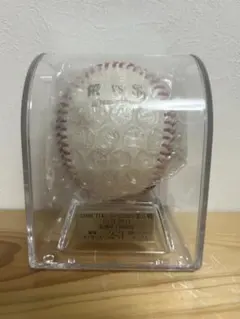 2026年最新】実使用 阪神タイガースの人気アイテム - メルカリ