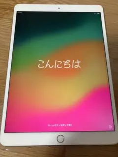 2026年最新】iPad Pro 10.5 Wi-Fi Cellular 256GB SIMフリーの人気