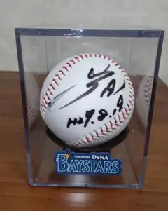 2026年最新】康晃 サインボールの人気アイテム - メルカリ