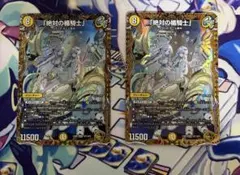 2026年最新】絶対の楯騎士 金トレジャーの人気アイテム - メルカリ