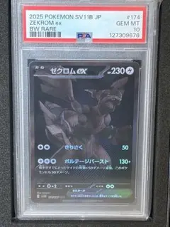 2026年最新】ゼクロムEX psa10の人気アイテム - メルカリ