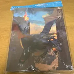 2026年最新】色違いリザードン ファイルの人気アイテム - メルカリ