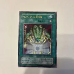 2026年最新】セベクの祝福 遊戯王の人気アイテム - メルカリ
