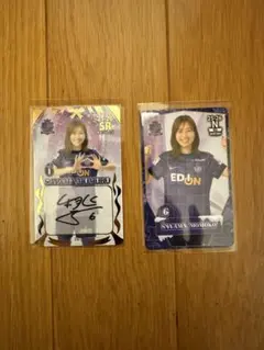 2026年最新】サンフレッチェ広島 オンサイトカードの人気アイテム