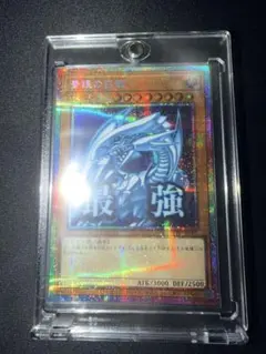 2026年最新】青眼の白龍 プリズマティックシークレットレアの人気