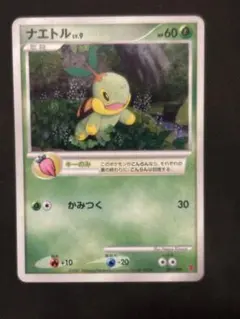 2026年最新】ナエトル 001/PPPの人気アイテム - メルカリ