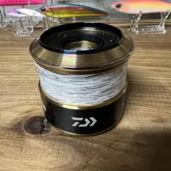 2026年最新】ソルティガ 14000 スプールの人気アイテム - メルカリ