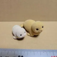 2026年最新】centex アザラシの人気アイテム - メルカリ